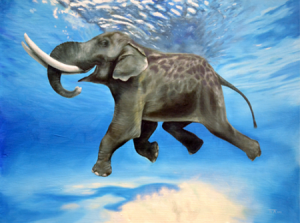 Rajan the Swimming Elephant oil painting by Tia Harper