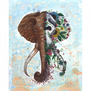 Elephant Face Off Watercolor Painting by Tia Harper