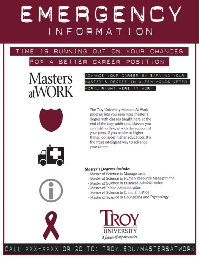 TROY - Masters at Work Program - Private Sector Small Ad